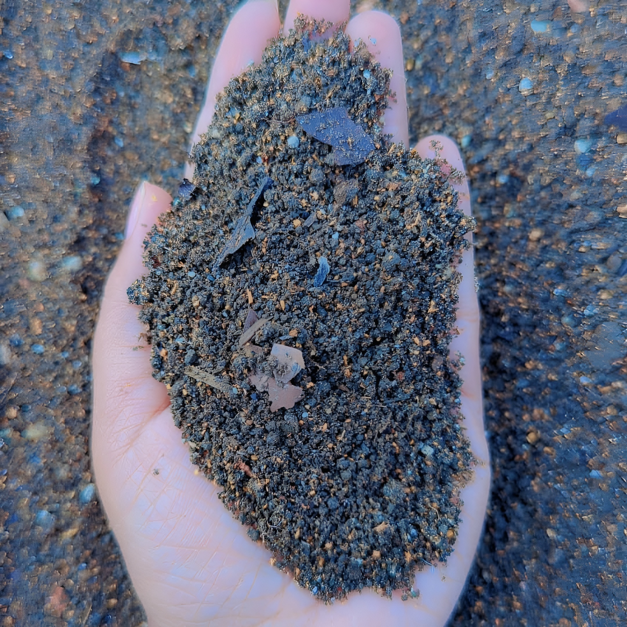 গাছের মিডিয়া (Plant Media) image