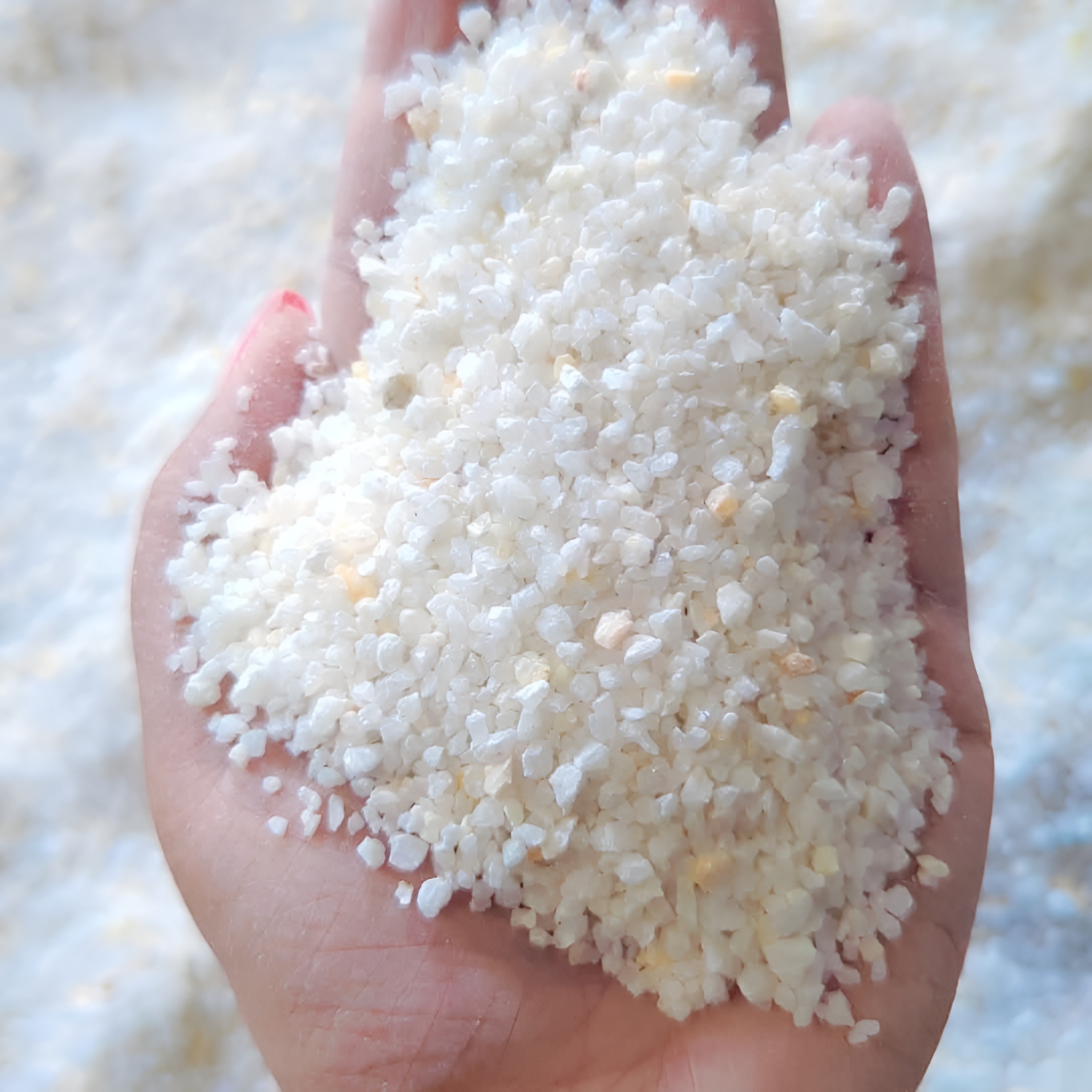 সার (Fertilizer) image