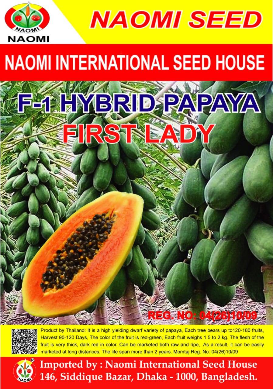 হাইব্রিড পেঁপে ফার্স্ট লেডি