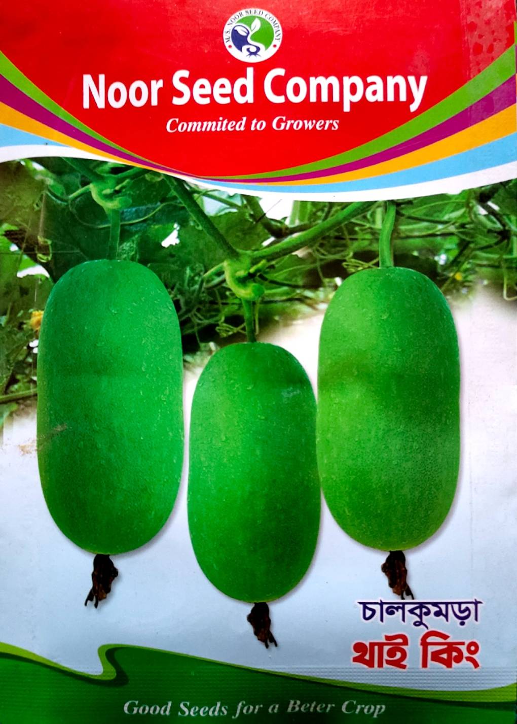 চালকুমড়া  থাই কিং । Thai King