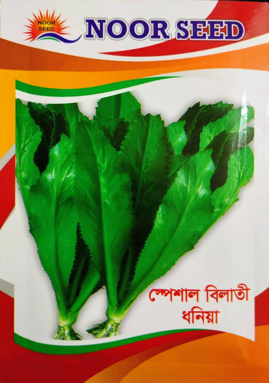 স্পেশাল বিলাতী ধনিয়া ।