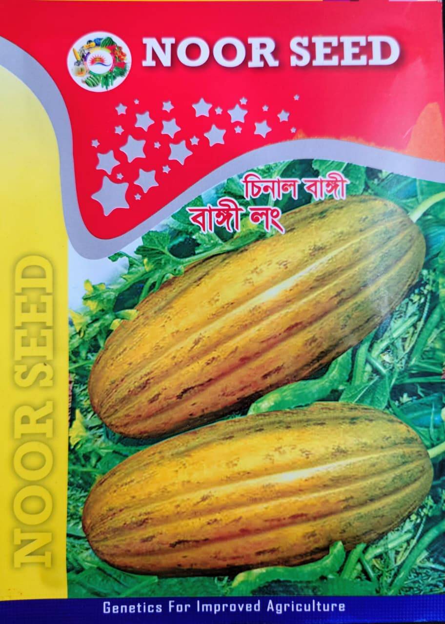 চিনাল বাঙ্গী - বাঙ্গী লং