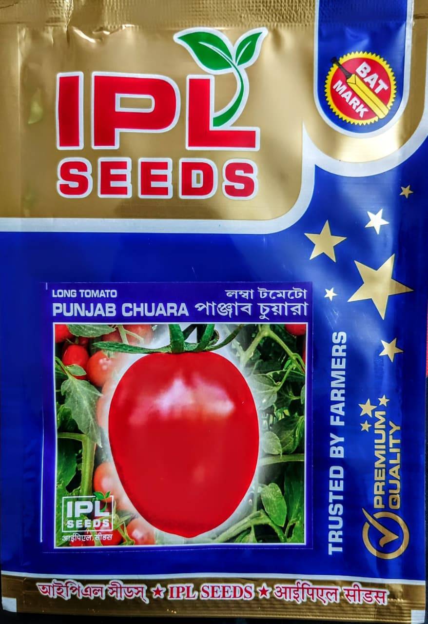 লম্বা ট্মেটো পাঞ্জাব চুয়ারা । Long Tomato Panjab Chuara