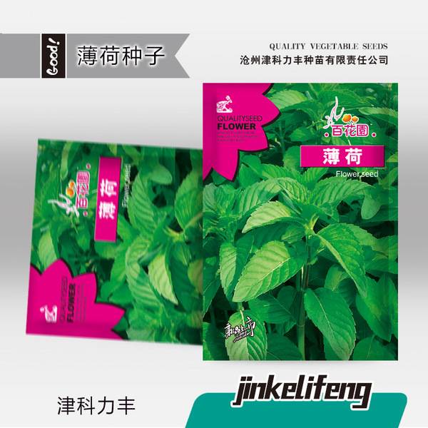 পুদিনা – প্রায় ১,০০০ পিস | Mint – Approx. 1,000 Pcs