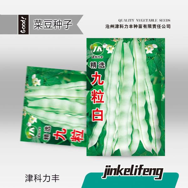 নাইন হোয়াইট কিংবিন – ১০ গ্রাম (প্রায় ২৮ পিস) | Nine White Kidney Beans