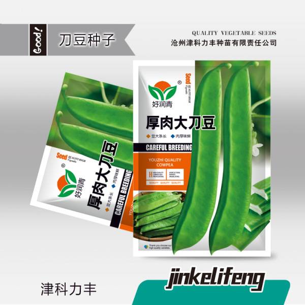 বড় তলোয়ারের শিম – প্রায় ৫ পিস | Large Sword Beans