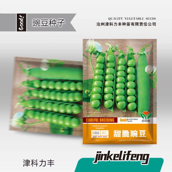 সুইট মটরশুঁটি  – ২০ গ্রাম | Sweet Snap