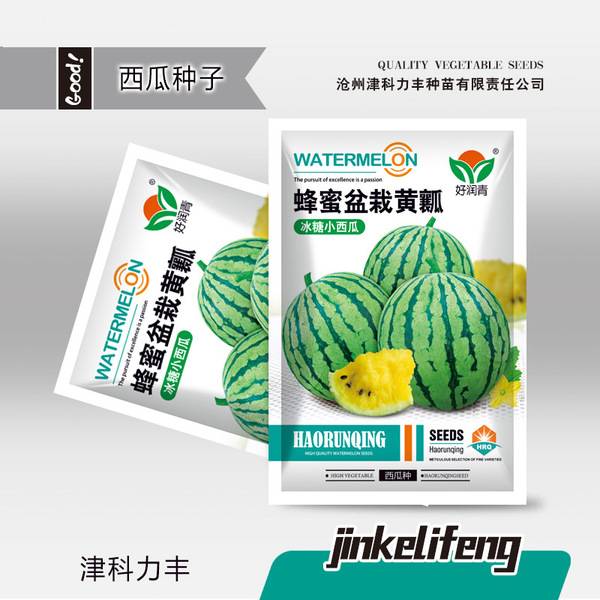 ছোট পাত্রে হলুদ তরমুজ – প্রায় ২০ বীজ | Small Potted Yellow Watermelon