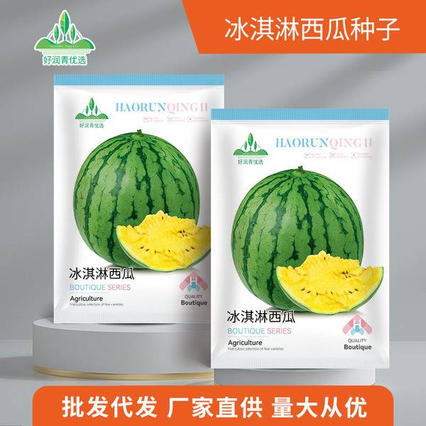 আইসক্রিম ইয়েলো তরমুজ – প্রায় ২০ বীজ | Ice Cream Yellow Watermelon