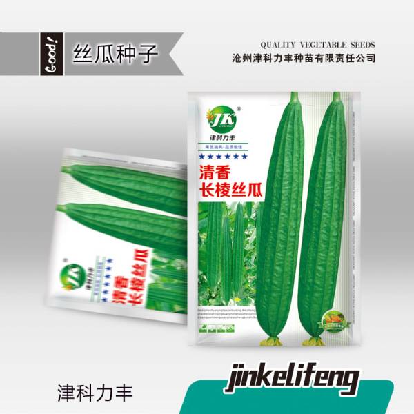 দীর্ঘ কিনারা ধুন্ধুল – প্রায় ৪০ বীজ | Long-Edged Loofah