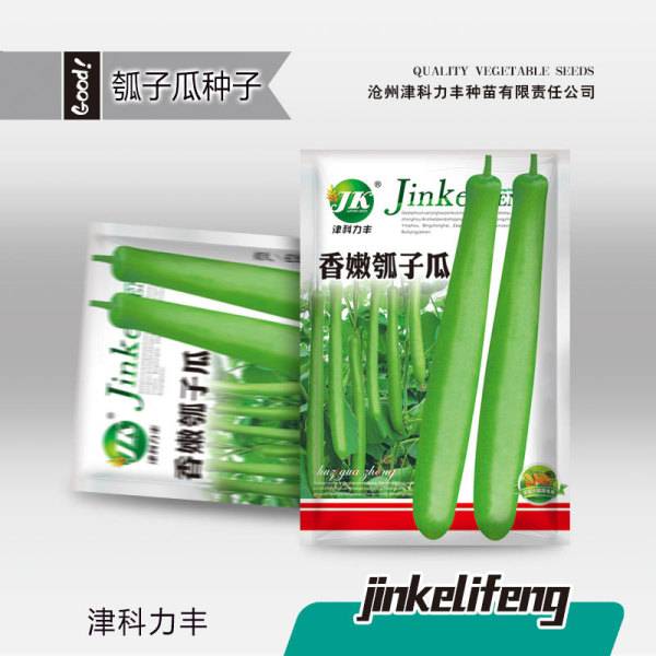 কালাবাশ লাউ – ৩ গ্রাম (প্রায় ৫০–৬০ বীজ) | Calabash Melon