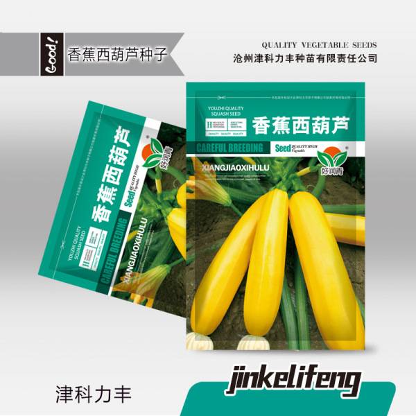 ব্যানানা জুকিনি / স্কোয়াশ  – প্রায় ১০ বীজ | Banana Zucchini