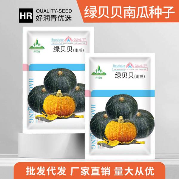 সবুজ বেবি মিষ্টি কুমড়া – ৫ গ্রাম (প্রায় ২০ বীজ) | Green Baby Pumpkin