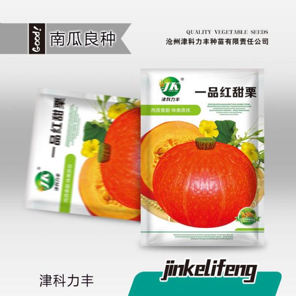 লাল চেস্টনাট মিষ্টি কুমড়া– ৫ গ্রাম (প্রায় ২০ বীজ) | Red Chestnut Pumpkin