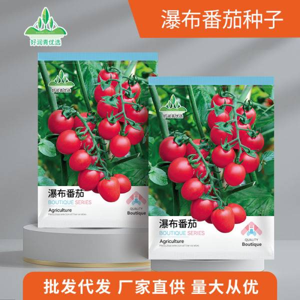 ওয়াটারফল চেরি টমেটো – প্রায় ১০০ বীজ | Waterfall Cherry Tomatoes