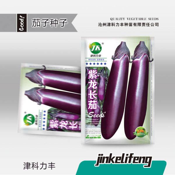 পার্পল ড্রাগন বেগুন – ২ গ্রাম (প্রায় ৪০০ বীজ) | Purple Dragon Eggplant