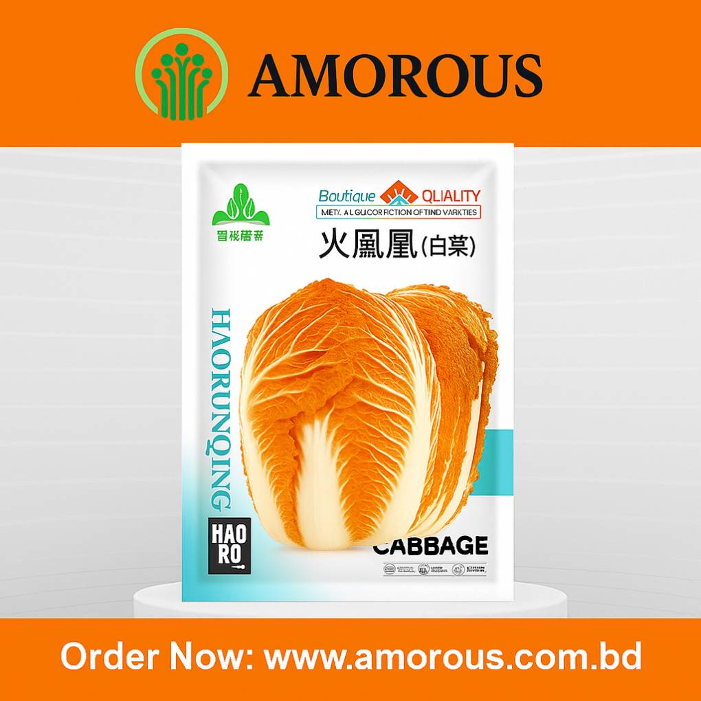 ফায়ার ফিনিক্স বাঁধাকপি – ৩ গ্রাম (প্রায় ৭০০ বীজ) | Fire Phoenix Cabbage